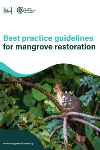 Best practice guidelines for mangrove restoration