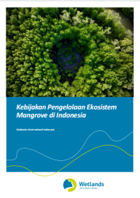 Image of Kebijakan Pengelolaan Ekosistem Mangrove di Indonesia
